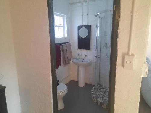 a bathroom with a toilet and a shower and a sink at Oorslaap in Florida