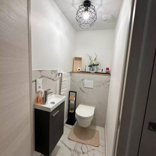 une salle de bain avec des toilettes blanches et un lavabo dans l'établissement Spacieux, lumineux, chic ,60m2 au coeur du Lyon 6ème -Quartier Foch- avec grand balcon, à Lyon