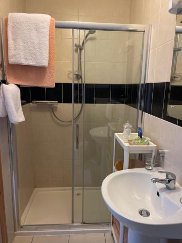 a bathroom with a shower and a sink at Corrib View Lodge in Glencorrib