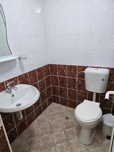 a bathroom with a toilet and a sink at Forest Spring in Asenovgrad