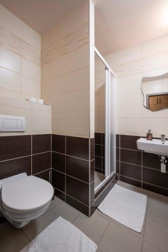 a bathroom with a toilet and a shower and a sink at Penzión ZIVKA in Závažná Poruba