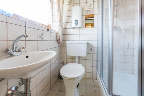 a bathroom with a toilet and a sink and a shower at Almliesl HOLL-154 in Hollersbach im Pinzgau