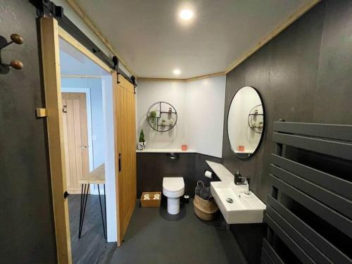 a bathroom with a sink and a toilet and a mirror at Luxury lodge, foot of South Downs nr beach in Ferring