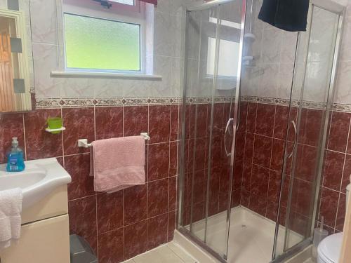 een badkamer met een douche en een glazen deur bij Ann & Andy in Kilkee