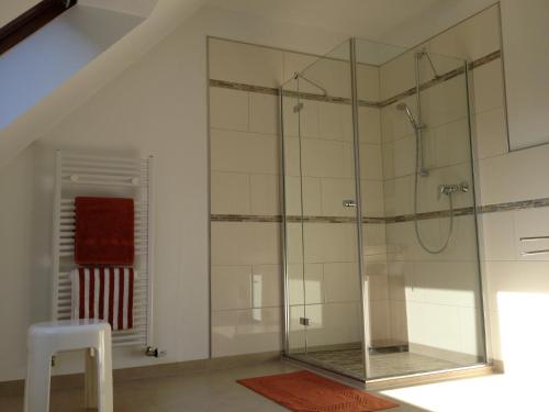 a bathroom with a shower with a glass enclosure at Apartments Mester in Xanten