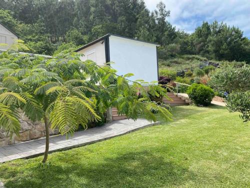 una palmera en un patio al lado de un edificio en Le petit paradis, en Hío