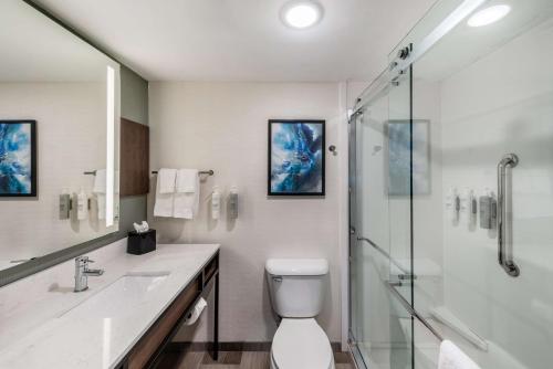 a bathroom with a shower and a toilet and a sink at Hilton Garden Inn Columbus/Grove City in Grove City