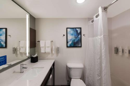 a bathroom with a toilet and a sink and a shower at Hilton Garden Inn Columbus/Grove City in Grove City