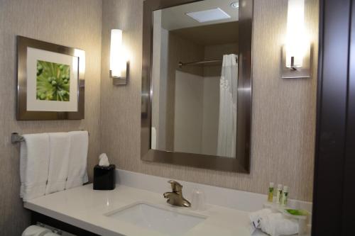 a bathroom with a sink and a mirror at Holiday Inn Express Tomball, an IHG Hotel in Tomball