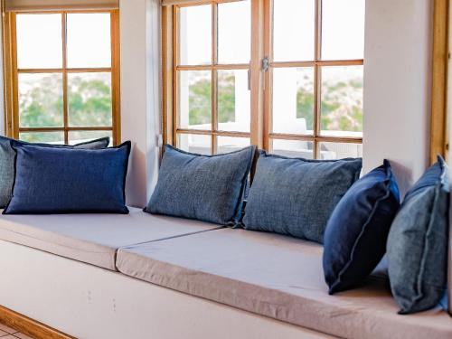 a couch with blue pillows in a room with windows at Casa d'Italo in Stanford