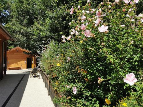 a hedge of pink flowers in a garden at Les Cabanes de Fontfroide in Saint-Antoine
