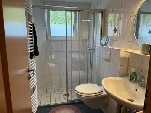 ein Bad mit einer Dusche, einem WC und einem Waschbecken in der Unterkunft Ferienwohnung Haumecke in Winterberg