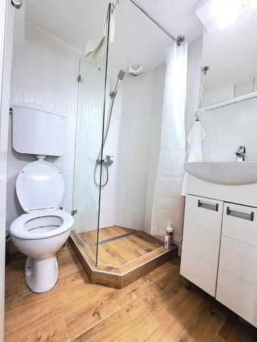 a bathroom with a shower and a toilet and a sink at Mini duplex apartman in Dušanovac (historical)