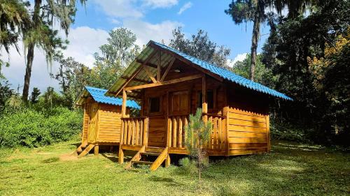 a small wooden house with a blue roof at Pinar del Valle - Glamping en el Bosque - Propiedad Completa en Constanza in Constanza