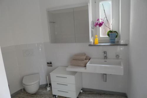 a white bathroom with a sink and a toilet at Casa Amélie in Caslano