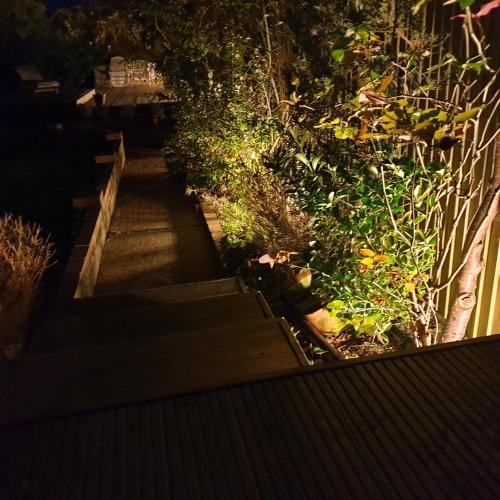 a set of stairs in a garden at night at House on Costal Village free parking in Peacehaven