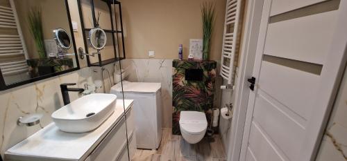 a white bathroom with a sink and a toilet at Baltic Nature Apartment & SPA in Dziwnów