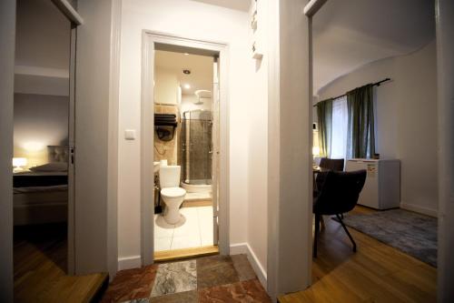 een badkamer met toilet en wastafel in een kamer bij Valnu street Old Town - quiet area in Rīga