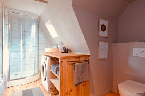 a bathroom with a toilet and a sink and a window at Gîte Origin Gueberschwihr in Gueberschwihr