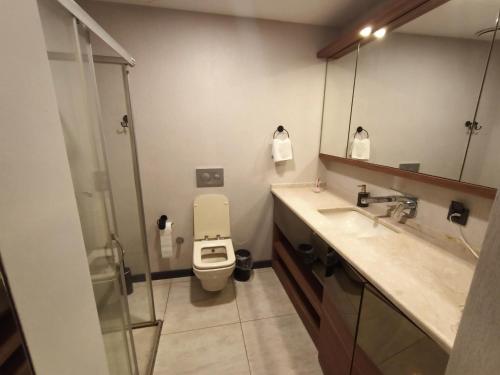 La salle de bains est pourvue de toilettes, d'un lavabo et d'une douche. dans l'établissement NEW FALCON PALAS OTEL, à Istanbul