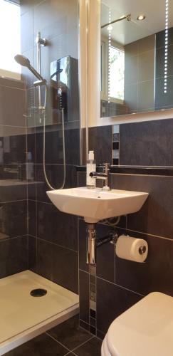 a bathroom with a sink and a toilet and a mirror at Marina Boathouse, lake windermere lets in Bowness-on-Windermere