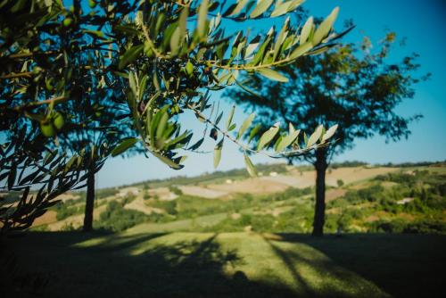 Gallery image of Il Girasole in SantʼIppolito