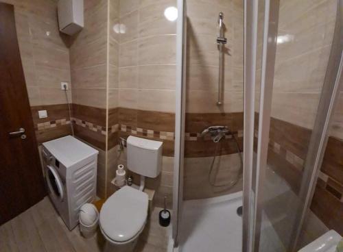 a small bathroom with a toilet and a shower at SmartHomeApartman in Hajdúszoboszló
