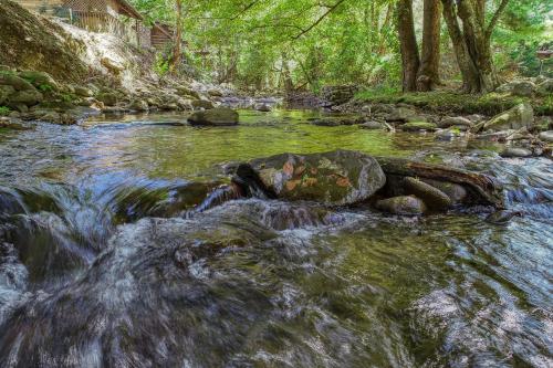 Φυσικό τοπίο κοντά σε αυτή η παραθεριστική κατοικία