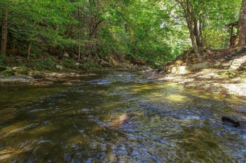 a stream of water with trees in the background at Whispering Creek Cabin in Cosby