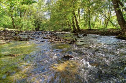 Whispering Creek Cabin – Photos 4