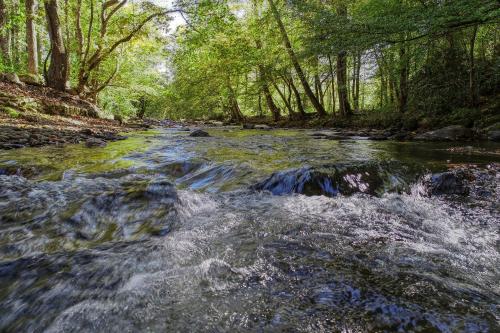 Příroda nedaleko prázdninového domu