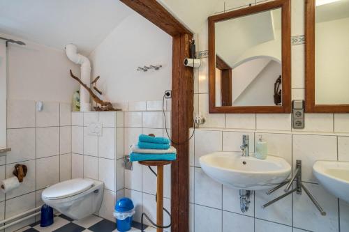 a bathroom with a toilet and a sink and a mirror at Lehmann mit Blick aufs Schloss in Gutach