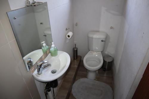 a bathroom with a toilet and a sink and a mirror at Enhle Bed and Breakfast in KwaDukuza