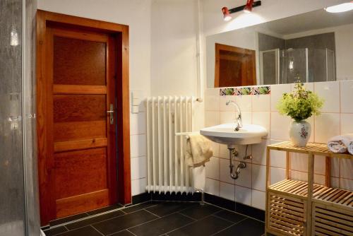 een badkamer met een wastafel, een spiegel en een deur bij Ferienhaus Haus Tanneck in Kurort Altenberg