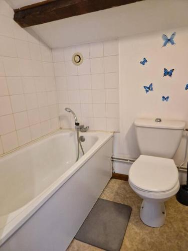 uma casa de banho com um WC branco e uma banheira em 5 verrerie em Chalon-sur-Saône