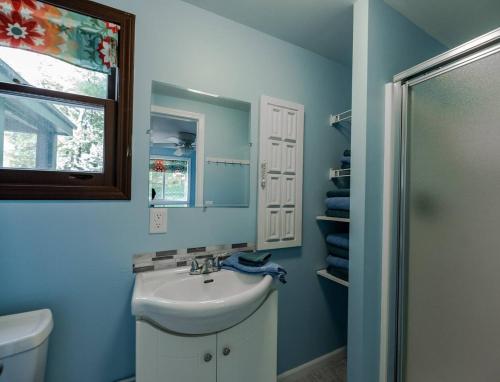 y baño con lavabo, espejo y ducha. en Big Blue Lake Cottages, LLC - Cottage #2, en Holton