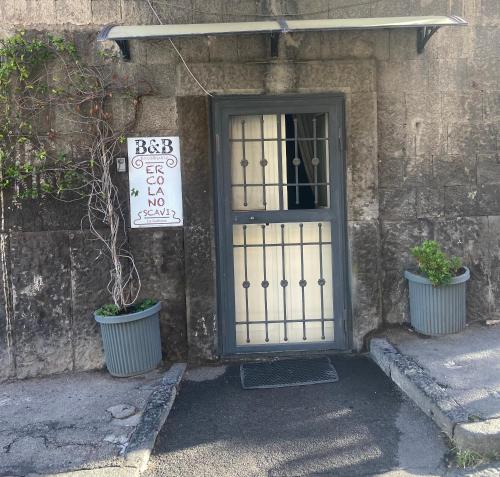 a door with two potted plants in front of it at b&b ERCOLANO Scavi in Ercolano