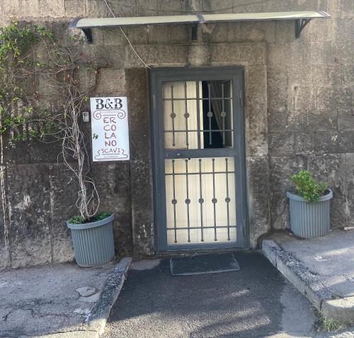 エルコラーノにあるb&b ERCOLANO Scaviの鉢植えの植物が2本前に並ぶ扉