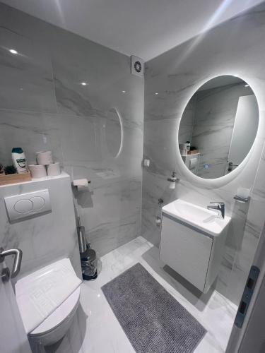 a bathroom with a toilet and a sink and a mirror at Studio apartman Mia in Zagreb