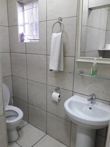 La salle de bains est pourvue d'un lavabo, de toilettes et d'un miroir. dans l'établissement Protea Park Self Catering Guesthouse, à Rustenburg