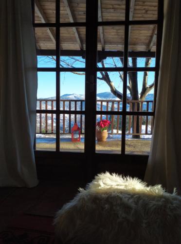 a window with a view of a tree outside at Μικρή Ζήρεια Ενοικιαζόμενη Κατοικία in Synikia Mesi Trikalon