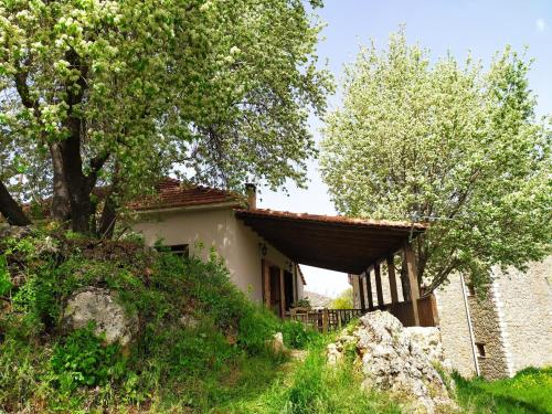 ein Haus auf einem Hügel mit Bäumen davor in der Unterkunft Μικρή Ζήρεια Ενοικιαζόμενη Κατοικία in Synikia Mesi Trikalon