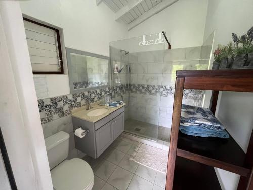 a bathroom with a toilet and a sink and a toilet istg at Waves Villa Guesthouse in Kingstown