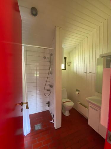 a bathroom with a toilet and a shower in it at Holiday Home Holmehøj in Ebeltoft