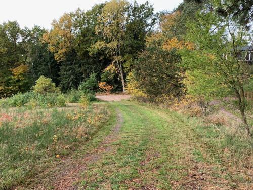 a dirt road through a field with trees at Holiday Home Holmehøj in Ebeltoft