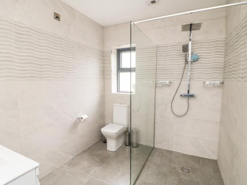 Un baño con inodoro y ducha de cristal. en Old Field House, en New Ross
