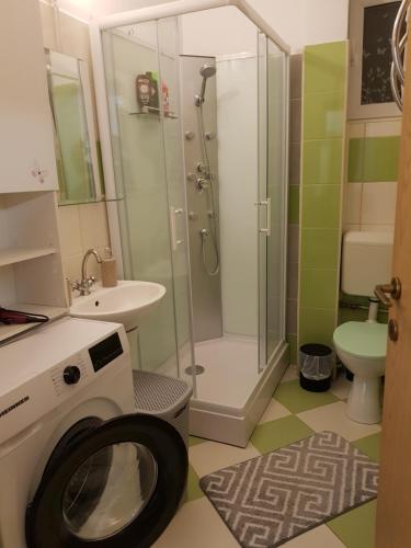 a bathroom with a shower and a washing machine at Apartament Simona in Braşov