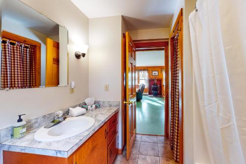een badkamer met een wastafel en een spiegel bij Owl's Nest in Greenville