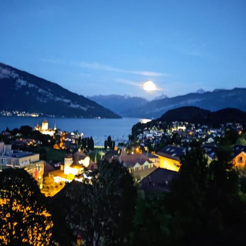 施皮茨Spiez Lakeview by the station Room C的相册照片