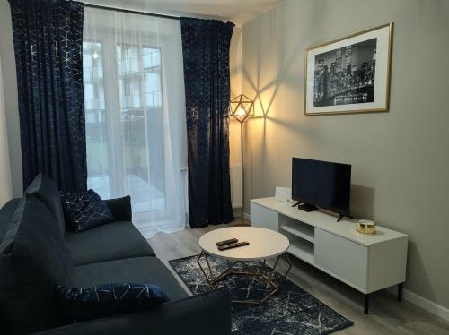a living room with a couch and a tv at TOTU TODAY - POSNANIA - MALTA APARTAMENTY , Faktura VAT, self check-in, bezpłatny parking in Poznań